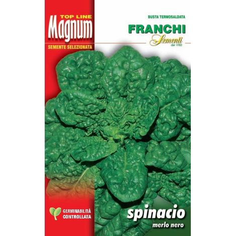 BUSTA MAGNUM SEMI DI SPINACIO MERLO NERO