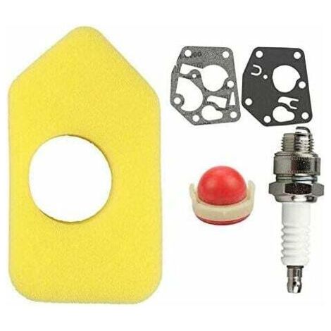 Kit d'entretien de carburateur 6/5000 pour Briggs & Stratton 95900, 96900, 98900, 9C900 et 10A900 (1/5)