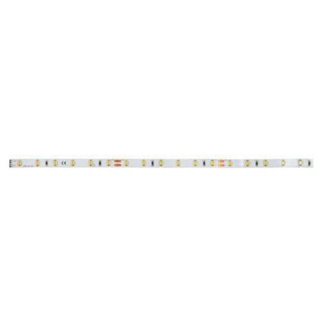 Brumberg Striscia LED flessibile bianca 5 metri 24V