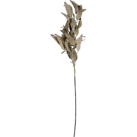 RAMO FOGLIE VERDI DAREL BIZZOTTO 40X8X95H