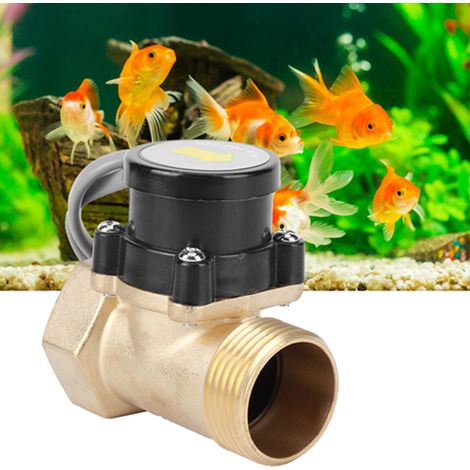 Durchflusssensor für HT-30 1-1 110V Wasserpumpe, 1"G Gewinde, elektronischer automatischer Druckregler (1/5)