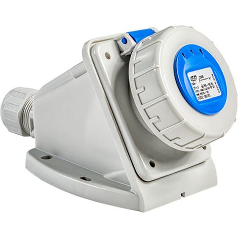 Socle de prise femelle Schuko 2P+T 16A étanche IP67 (1/4)