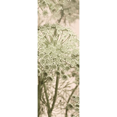 Komar Wandtapete - Mellow - 280 x 100 cm - Vlies Digitaldruck - Naturmotiv (1/2)