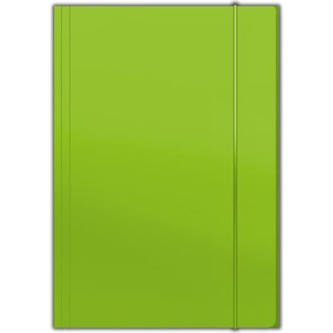 A4 Plus Top Hellgrüner Penmate Elastischer Ordner