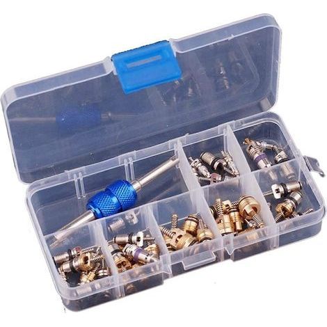 Compatible avec l'outil de démontage de valve de climatisation automobile R12/R134A (40 pièces) et les outils de climatisation automobile (1/5)