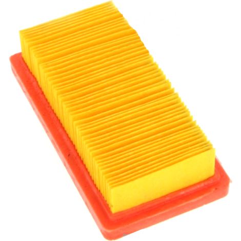 Filtro Aire TECUMSEH 23410061, 8R04-19