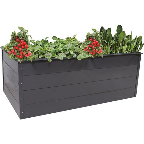 TrendLine Hochbeet Stahl 200 x 100 x 76 cm Lech inkl. Schneckenkante Hochbeet