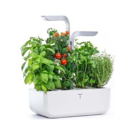 POTAGER D'INTÉRIEUR CONNECTÉ VÉRITABLE SMART ARCTIC WHITE VERITABLE (1/5)