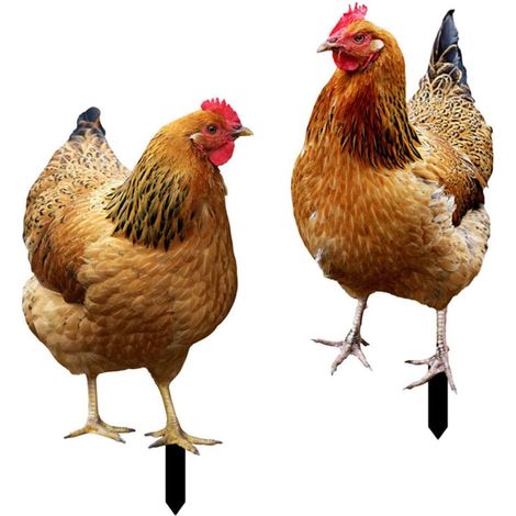 Ornement Poule - Acrylique Double Face 3D - Décoration Extérieure Jardin Cour - 2 Pièces