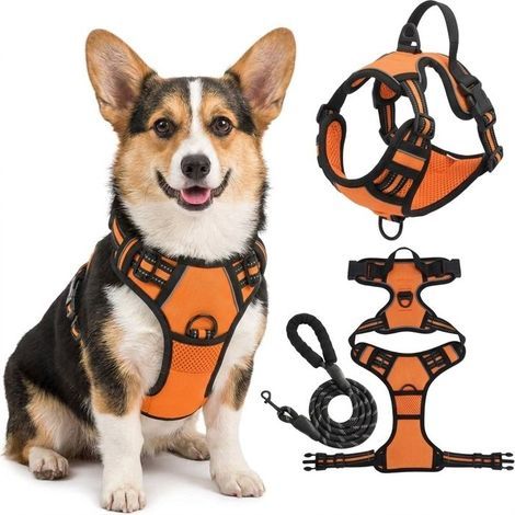 Harnais Chien Arnais Orange Anti Traction Réfléchissant Gilet Réglable pour Chien Taille S Attache Devant Crochet de Laisse (1.2M) (1/5)