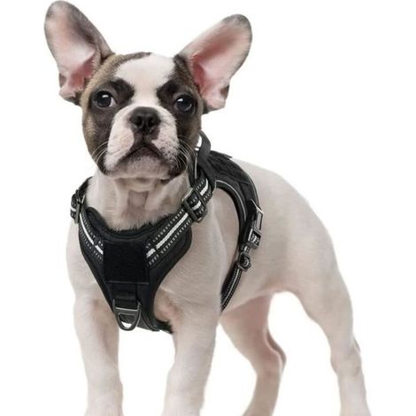 Harnais Chien Anti Traction, Harnais Tactique Chien Réfléchissant Réglable avec Poignée et Anneaux pour Entraînement Chasse Noir-S (1/4)