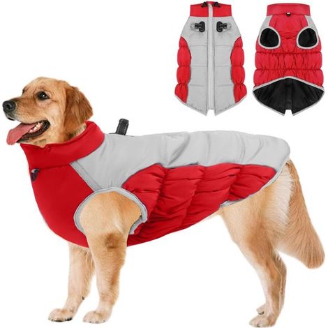 Abbigliamento invernale per cani, impermeabile e antivento, collare regolabile per un calore ottimale, cerniera sul dorso, strisce e piedini riflettenti. (1/5)