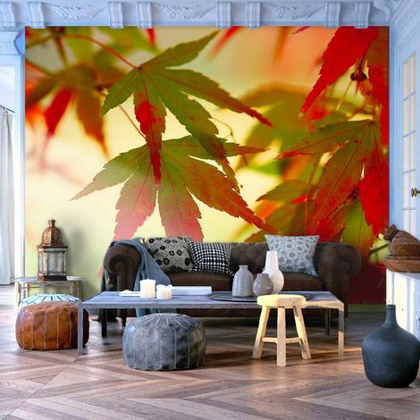 Papier peint feuilles colorées - 400 x 309 cm (1/4)
