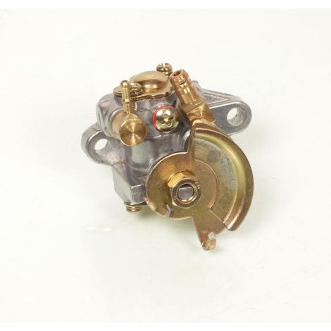 Ölpumpe P2R für Motorrad Fantic 50 XM Neu (1/5)