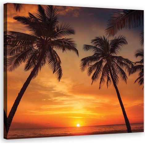 Quadro su tela, Mare Palme tropicali - 30x30 (1/5)