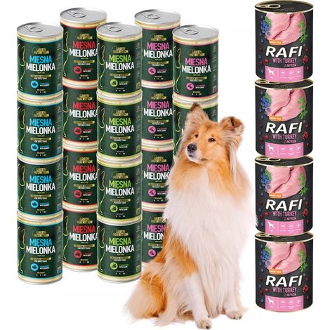 RAFI + GREEN NUTRITION Nassfutter für Hunde, 9,6 kg Set, 24 Stück, getreidefrei