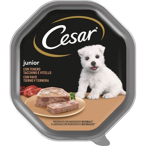 Cesar Cane Junior Tacchino e Vitello 150gr