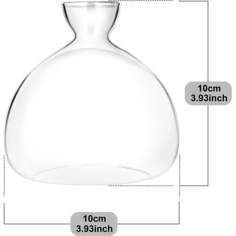 Kit per la germinazione di ghiande: vaso decorativo in vetro, terrario o vaso per far crescere ghiande in casa, contenitore ideale per la coltivazione di bulbi