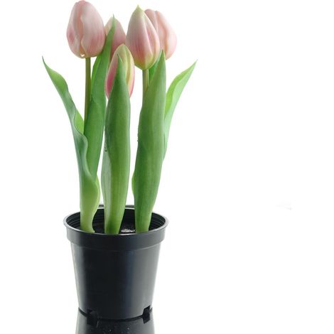 GASPER Tulpen Rosa im Topf 5 Blüten - Kunstblumen (1/2)