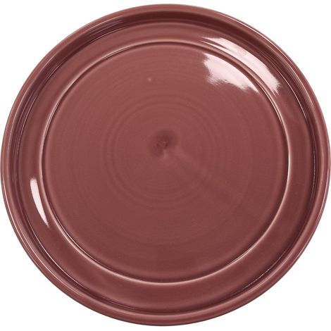 Platillo 42cm rosa (1/5)