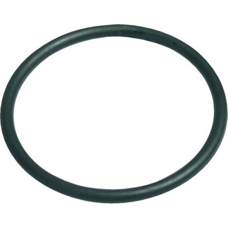 Kuppel-Dichtung für LUBERON Schwimmbadfilter, O-Ring NBR 215.3x7mm