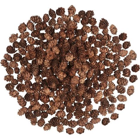 200 piñas navideñas, mini piñas naturales, piñas de Acción de Gracias, piñas navideñas, adornos para manualidades del hogar, decoración de árbol de Navidad, otoño e invierno (1/5)