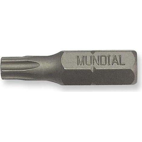 INSERTO TORX CON FORO TX40 mm.25