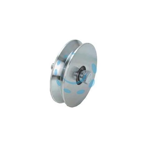 RUOTA CANCELLI GOLA V CON 2 CUSCINETTI A SFERA ART.407 - ø mm.120x28 - portata Kg.430 - gola V 92°