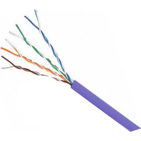 Bis-Electric – Câble RJ45 catégorie 6a – Débit 10 Gbit/s – Câble FTP avec blindage – Couronne 100 mètres
