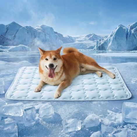 Tapis rafraîchissant pour chien Q-Max 0,5 - Tapis rafraîchissant pour chien et chat - Lavable et antidérapant - Coussin d'été respirant - Bleu - 104 x 71 cm (XL-Crate) (1/5)