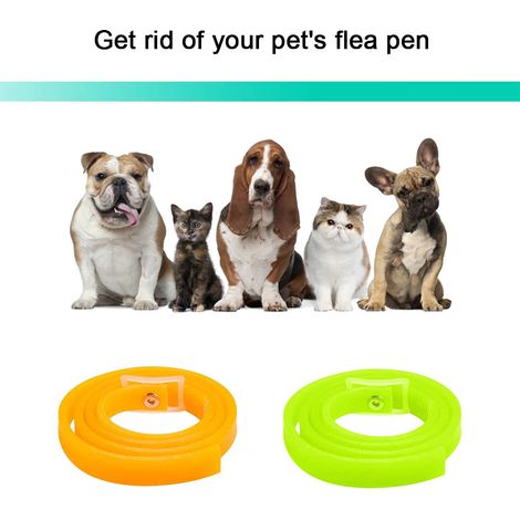 Collier anti-puces et anti-tiques pour animaux de compagnie, 40 cm x 1,1 cm (1/5)
