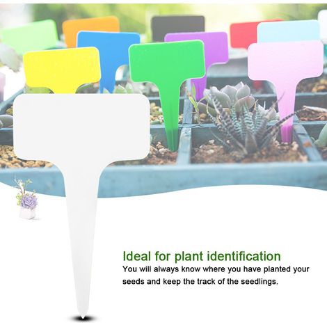 50 étiquettes blanches en plastique de type T pour plantes, idéales pour les pépinières, jardins et pelouses. (1/5)