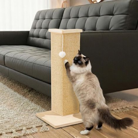 Griffoir d’Angle pour Chat, Poteau à Griffer de 56 cm pour Canapé et Mur, Tapis à Griffer en Sisal, Protection de Meubles avec Balle de Jeu, Petit Modèle (1/5)