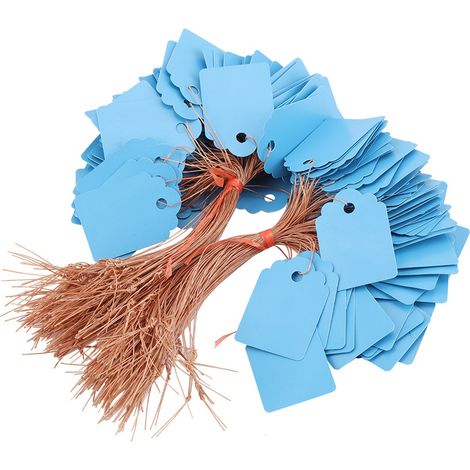 Lot 200 étiquettes bleues en PVC pour plantes suspendues, marqueurs de jardin extérieur, identification de semis. (1/5)