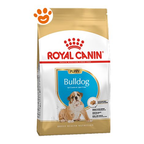 Royal Canin Dog Puppy Bulldog Inglese - Sacco 12 Kg - Cibo Secco Cani