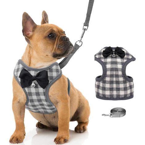 Sangle de poitrine pour chien avec nœud, sangle de poitrine, corde de traction pour animaux de compagnie