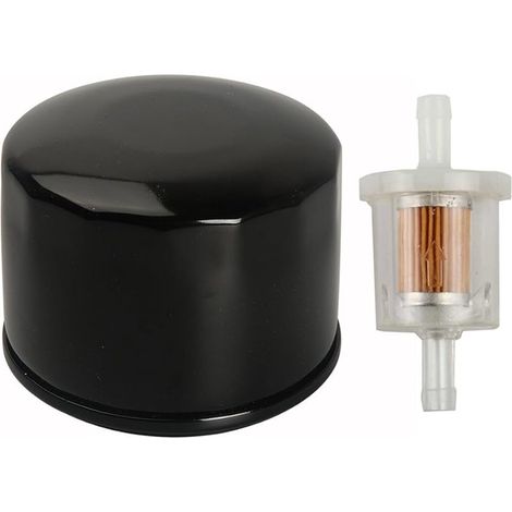 Filtre à carburant 691035 493629 avec filtre à huile 492932S 7045184 492056 Compatible with moteurs Briggs & Stratton (1/5)