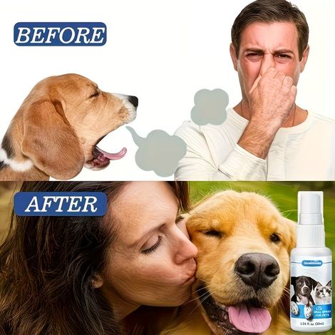 KineShineX Pet Dual-Use Mundspray ist für Katzen und Hunde geeignet. Es enthält pflanzliche Inhaltsstoffe und sorgt für langanhaltende Atemfrische.