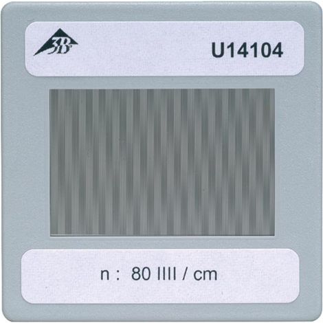 3B Scientific U14104 Reticolo Inciso
