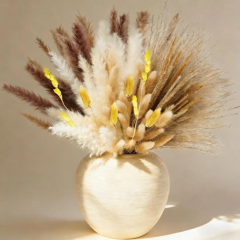 Fleurs Sechees Naturelles, Style Bohème Pampas Sechees Decoration (1/5)