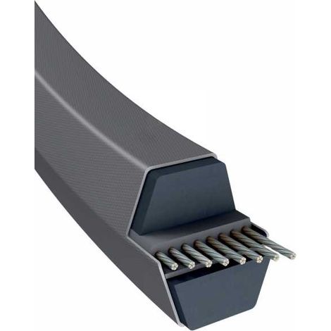 Courroie tondeuse AA96 hexagonale  13 x 2521 mm (1/5)