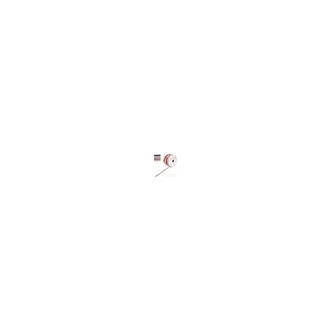 Absperrkette aus Kunststoff, 6 mm, 50 m, rot-weiß, für Hotels, Parkplätze, Bahnhöfe (1 Rolle) (1/5)