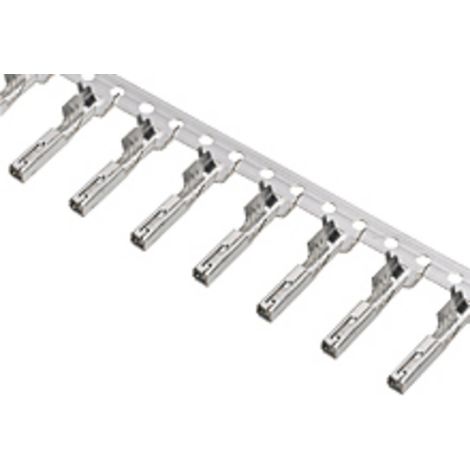 MX150L/MX250L 194200001 Molex Inhalt: 1 St.