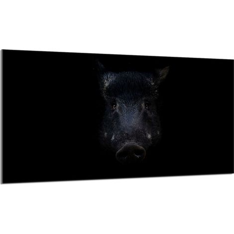 Placa protectora de cristal para estufa 90x52 Jabalí (1/5)