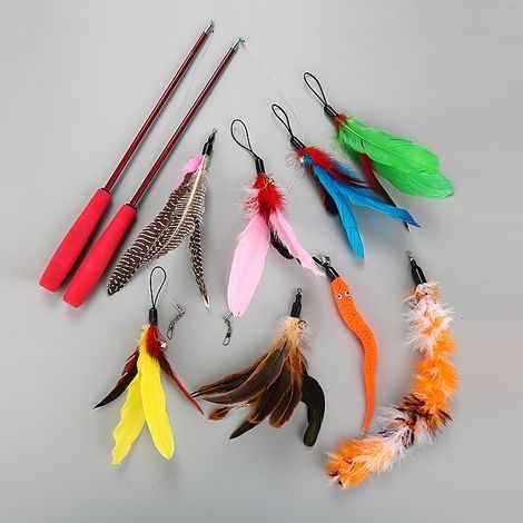 Feder-Katzenspielzeug, 10-teiliges Katzenspielzeug-Set, Federspielzeug, Katzenspielzeug, 2 einziehbare Angelruten-Spielzeuge mit 8 Nachfüllpackungen, interaktiv für Wohnungskatzen und Kätzchen (1/4)