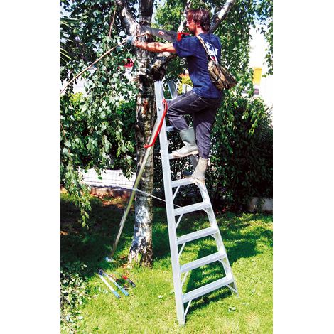 Obstbaumleiter ohne Erdspitze, 10-stufig, Max. Arbeitshöhe 3.79m - SCA1969S/10-SCCSTO