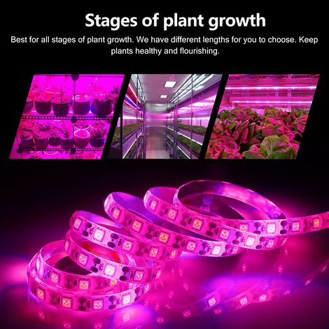 Lampe horticole étanche, kit d'emballage de 3 m pour la croissance des plantes-AquaForge (1/2)