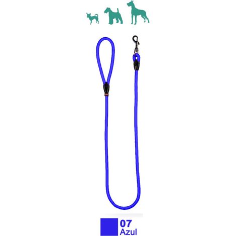Laisse en Nylon pour Chiens 120 cm Ronde 9 mm Bleue
