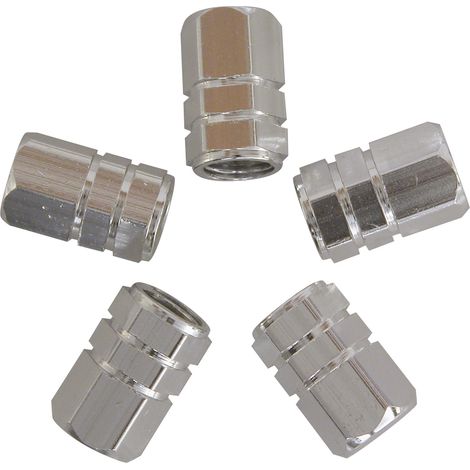 JEU DE 5 CAPUCHONS DE VALVES PISTON UNIVERSEL ARGENT (1/2)