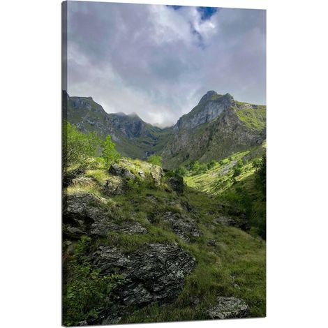 Leinwanddruck Natur Überwucherte Berge 50x80 cm